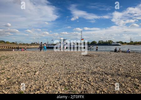 Duisburg, Renania settentrionale-Vestfalia, Germania - letto del fiume secco nel Reno allo sbarco dei traghetti Walsum, traghetto del Reno Walsum-Orsoy. Dopo una lunga siccità, il Foto Stock