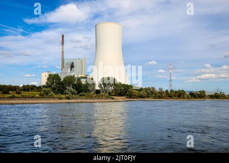 Duisburg, Renania settentrionale-Vestfalia, Germania - centrale elettrica a carbone duro STEAG Walsum, sul Reno, con acqua bassa. Foto Stock