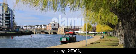 Swans al fiume Nene Embankment Gardens, Peterborough City, Cambridgeshire, Inghilterra, Regno Unito Foto Stock