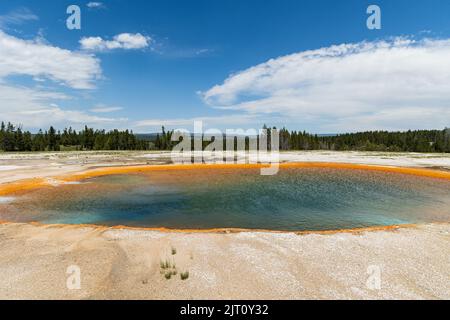 Piscina turchese nel Midway Geyser Basin di Yellowstone, parco nazionale di Yellowstone, Wyoming, USA Foto Stock