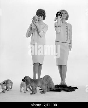 Negli anni '1960s. Due modelli di moda, in 1960s abiti tipici fotografati in uno studio. Le due ragazze si pongono insieme ai cuccioli. Svezia 1960s Foto Stock