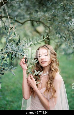 Sposa tocca con le mani i rami di un ulivo verde in un boschetto Foto Stock