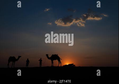 Silhouette di due cammelli e loro cammelli a dune di sabbia del deserto di Thar, Rajasthan, India. Nuvola con sole tramontato, cielo sullo sfondo. Foto Stock