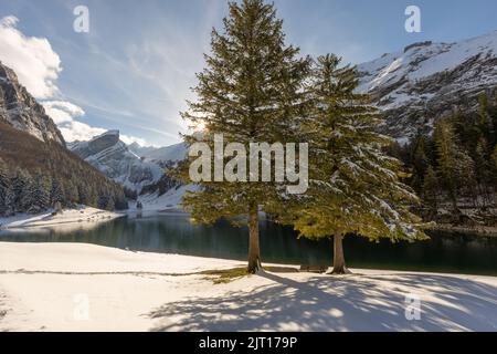 Ora d'oro presso il bellissimo lago di montagna Seealpsee nelle Alpi svizzere e montagne e alberi innevati in un pomeriggio di sole poco prima del tramonto. Foto Stock