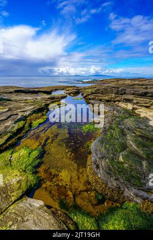 Una grande piscina marea sulla costa occidentale dell'Isola di Vancouver Foto Stock