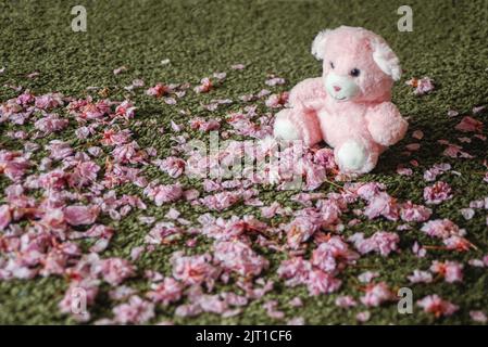 Neonato sfondo/sfondo orsetto rosa su un letto di veri fiori di ciliegio e erba/tappeto verde Foto Stock