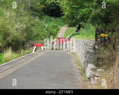 L'Associazione ferroviaria della Valle di Ecclesbourne ha aperto una nuova piattaforma alla stazione di Ravenstor nel 2005, precedentemente un punto di carico per la pietra delle cave locali. Foto Stock