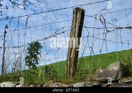 Una vecchia recinzione sul lato di una collina verde con un vecchio palo di legno. Foto Stock