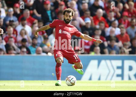 Liverpool, Regno Unito. 27th ago, 2022. Mohamed Salah di Liverpool in azione. Incontro Premier League, Liverpool contro AFC Bournemouth a Anfield a Liverpool sabato 27th agosto 2022. Questa immagine può essere utilizzata solo per scopi editoriali. Solo per uso editoriale, licenza richiesta per uso commerciale. Nessun utilizzo nelle scommesse, nei giochi o nelle pubblicazioni di un singolo club/campionato/giocatore. pic di Chris Stading/Andrew Orchard SPORTS photography/Alamy Live news Credit: Andrew Orchard SPORTS photography/Alamy Live News Foto Stock