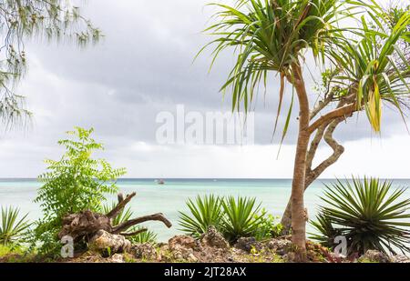 Barca in laguna tropicale. Barca a vela con costa esotica in primo piano. Alberi tropicali con incredibile sfondo marino. Viaggi in Africa. Costa Paradiso. Foto Stock