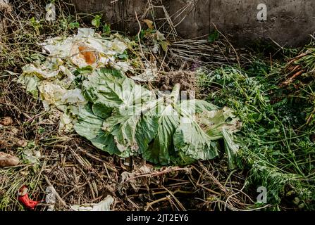 Buca di composto per spreco di cibo. Consumo ecologico, riciclaggio. Concetto di fertilizzanti organici per giardino. Foto Stock