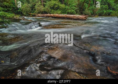 Lunga esposizione di un vecchio tronchi seduto nel mezzo di un fiume circondato da alberi e rocce. Foto Stock