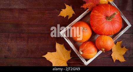 Autunno piatto giacitura. Zucche mature e foglie gialle in una scatola di legno. Concetto di raccolto e di ringraziamento. Feste di Halloween. Spazio di copia. Formato banner Foto Stock