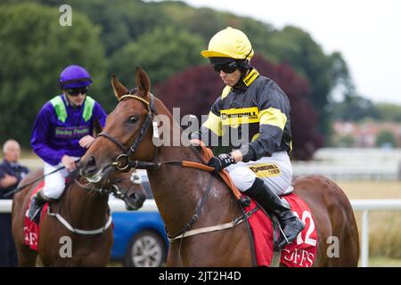 Jockey Graham Lee su Reginald Charles prima dell'inizio di una gara a York Races, Foto Stock