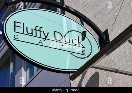 Fluffy Duck Cafe presso il campus principale della Cleveland Clinic Foto Stock