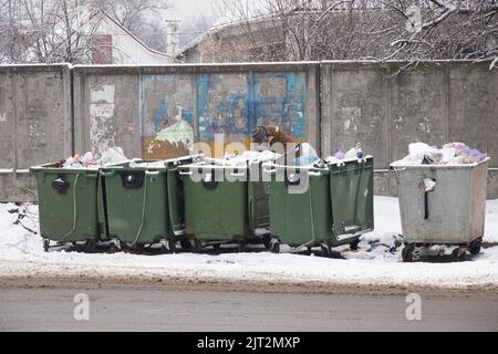 Lattine di immondizia sulla strada nella città di Dnipro in Ucraina in inverno, ecologia Foto Stock