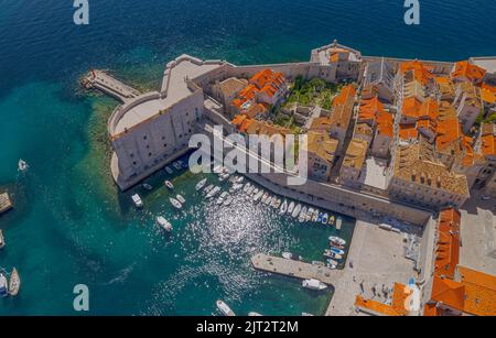 Porporela frangiflutti nella città vecchia di Dubrovnik Foto Stock