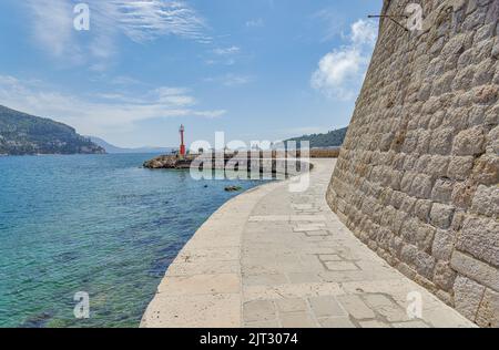 Porporela frangiflutti nella città vecchia di Dubrovnik in Croazia Foto Stock