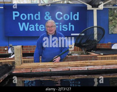 La Gran Bretagna sotto l'acqua. Le incredibili marcature che mostrano la mappa del Regno Unito continentale su una carpa Koi da 14 pollici importata dal Giappone. La mappa è stata notata da Geoff Wishart di 62 anni, capo della carpa koi al Romsey World of Water a Romsey , Hampshire. Il 2 anni Showa Koi è arrivato dal Giappone con altri 30 pesci, nel mese di marzo, ma solo una settimana fa Geoff ha notato le spettacolari marcature. Geoff ha detto: “Ho lavorato con la carpa per la maggior parte della mia vita, ma non ho mai visto nulla di simile. Occasionaly loro potrebbero essere una forma del cuore o qualcosa di semplice ma questo realmente assomiglia ad una mappa o. Foto Stock