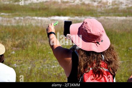 Donna che scatta foto con il dinosauro giocattolo Foto Stock