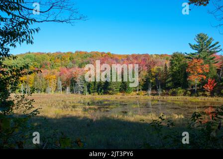 I colori dell'autunno esplorando il parco nazionale di Mont Orford, Quebec, Canada Foto Stock