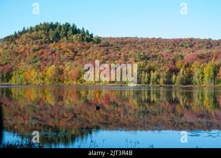 I colori dell'autunno esplorando il parco nazionale di Mont Orford, Quebec, Canada Foto Stock