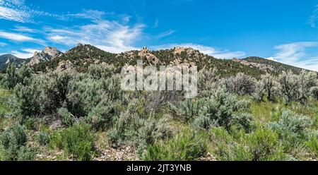 La salvia e l'erba crescono tra le formazioni rocciose della City of Rocks National Reserve, Idaho, USA Foto Stock