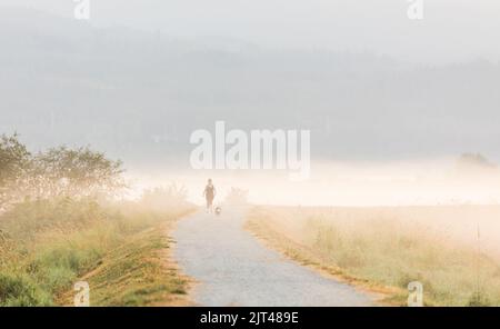 Scenario della mattina presto in campo e una donna con il suo cane su una passeggiata. Luce del sole attraverso la nebbia e gli alberi. Luce del sole in un prato nebuloso. Alba con nebbia in s Foto Stock