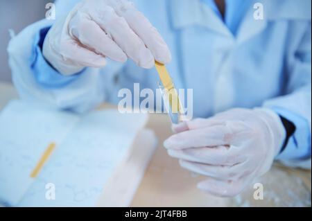 Primo piano scienziato, assistente di laboratorio, immersione di una striscia di carta al tornasole in una sostanza liquida in una provetta, misurazione del pH Foto Stock