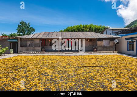 La Casa di Wang su Chike Montain, città di yuli, hualien, taiwan Foto Stock