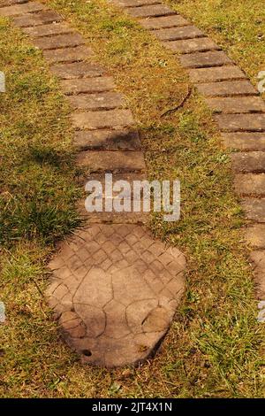 Una vista di un sentiero serpente nel giardino Brandon Country Park, Suffolk, che mostra i mattoni distanziati affondati nel prato, erba. Foto Stock