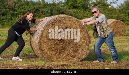 Divertente concetto di lavoro di squadra, giocando con un grande rotolo di fieno in un campo, in Irlanda. Foto Stock