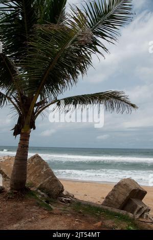 Palma e l'Atlantico, Sinkor, Monrovia, Liberia Foto Stock