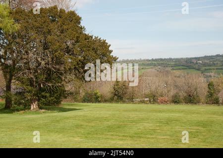 Woodstock Gardens, Woodstock House, Inistioge, Co. Kilkenny, Eire. Gli splendidi Woodstock Gardens e Arboretum si affacciano sul fiume No Foto Stock