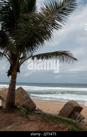 Palma e l'Atlantico, Sinkor, Monrovia, Liberia Foto Stock