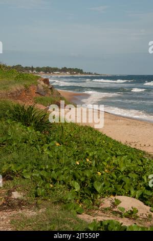 L'Atlantico, Sinkor, Monrovia, Liberia - Oceano Atlantico, spiaggia sabbiosa, vegetazione Foto Stock