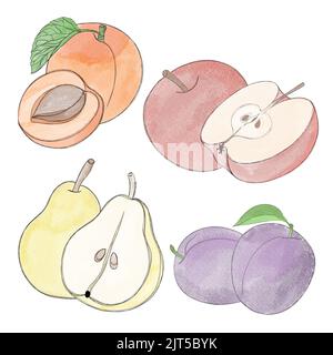 Grande set di frutti e frutti di bosco - illustrazione di acquerello disegnata a mano Foto Stock