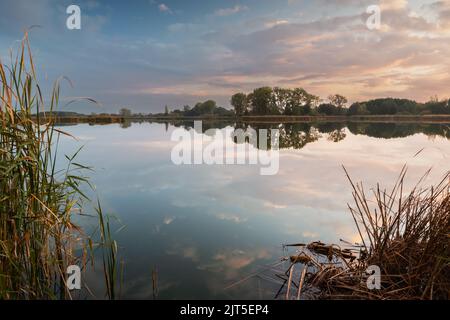 Cielo serale su un lago calmo con canne Foto Stock