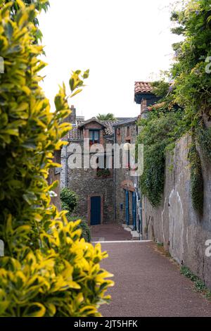 Un colpo verticale delle strade di Pornic tra centro e centro con piante che crescono sulle pareti Foto Stock