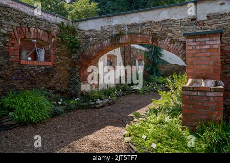 Arboretum Wojslawice bassa Slesia Polonia Foto Stock