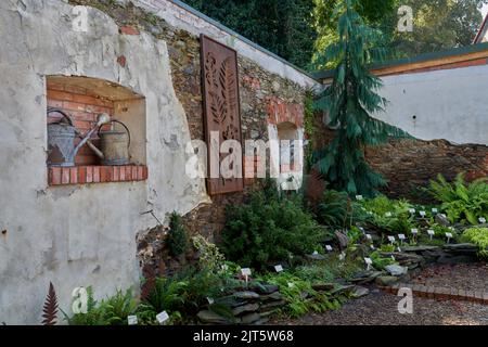 Arboretum Wojslawice bassa Slesia Polonia Foto Stock