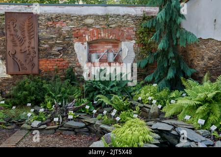 Arboretum Wojslawice bassa Slesia Polonia Foto Stock