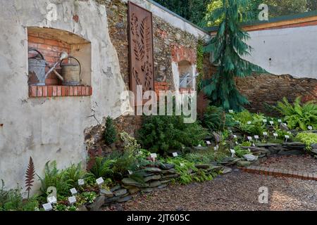 Arboretum Wojslawice bassa Slesia Polonia Foto Stock