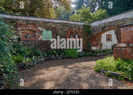 Arboretum Wojslawice bassa Slesia Polonia Foto Stock