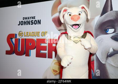 28 agosto 2022: Il personaggio del film si pone alla 'DC League of Super-Pets' Sydney Premiere agli Eventi Cinemas Bondi Junction il 28 agosto 2022 a Sydney, NSW Australia (Credit Image: © Christopher Khoury/Australian Press Agency via ZUMA Wire) Foto Stock