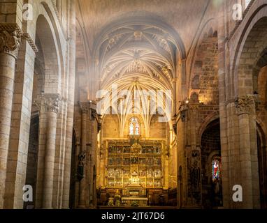 Navata principale dell'interno della Collegiata reale di San Isidoro de Len, Castilla y Len, Spagna. Stile romantico Foto Stock