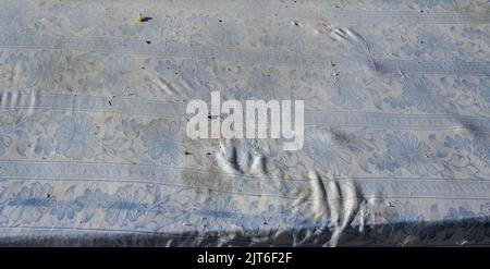 Immondizia e dettagli di inquinamento in città Foto Stock