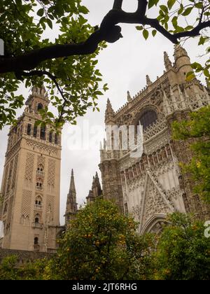 Porta della Concezione e torre Giralda, Cattedrale di Siviglia Foto Stock