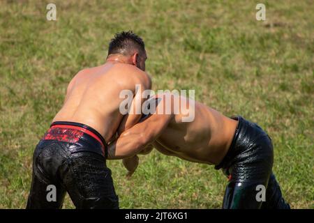 Bursa, Turchia - 2022 agosto: Tradizionale turco Oil Wrestling, due giovani lottatori sono in lotta sull'erba, Selective Focus Foto Stock