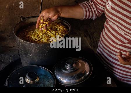 Un primo piano di un secchio di mais per la produzione di tortillas di mais. Foto Stock